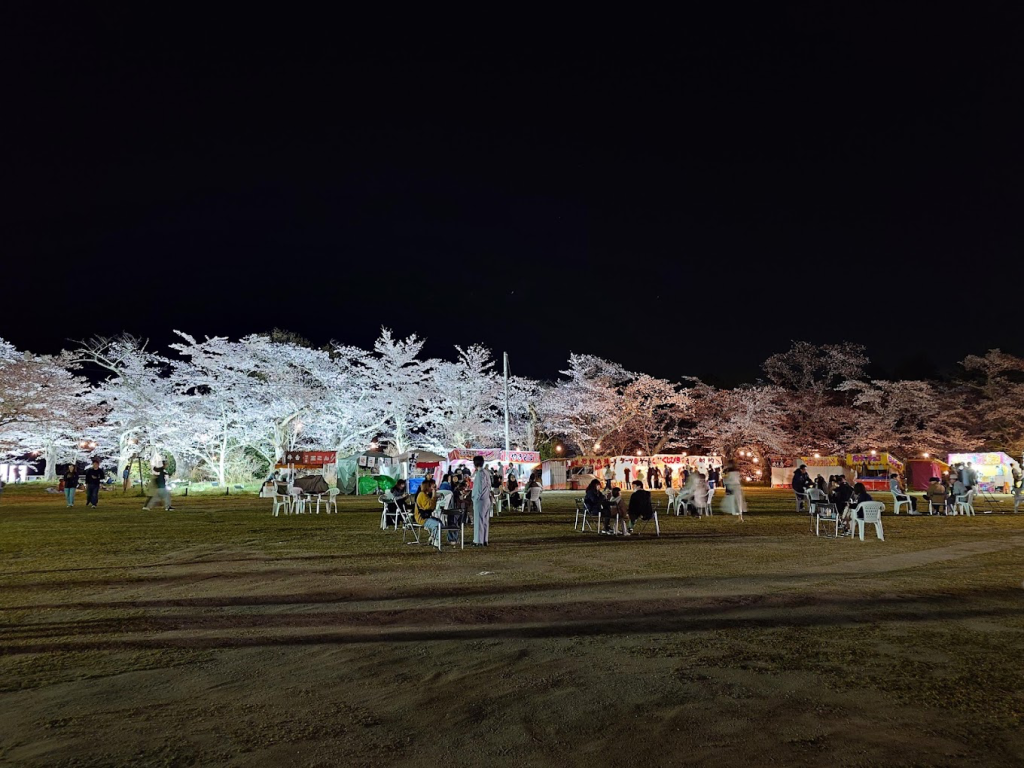 夜櫻與實際體驗差異