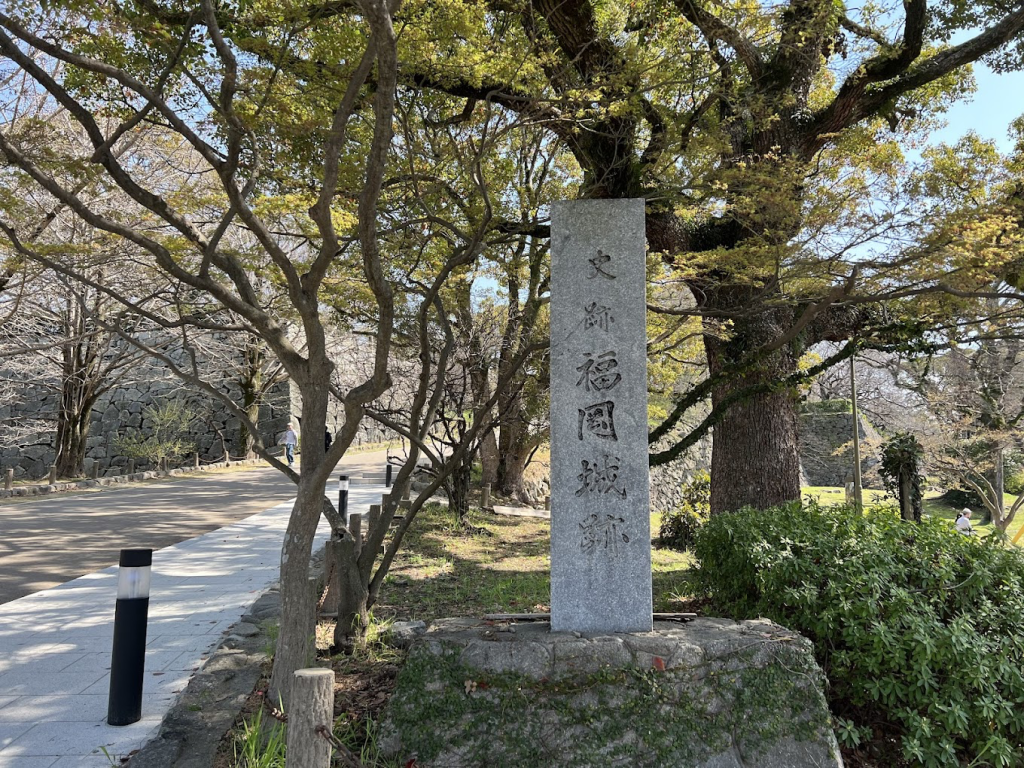 為什麼舞鶴公園是福岡春季最值得去的賞櫻景點之一?