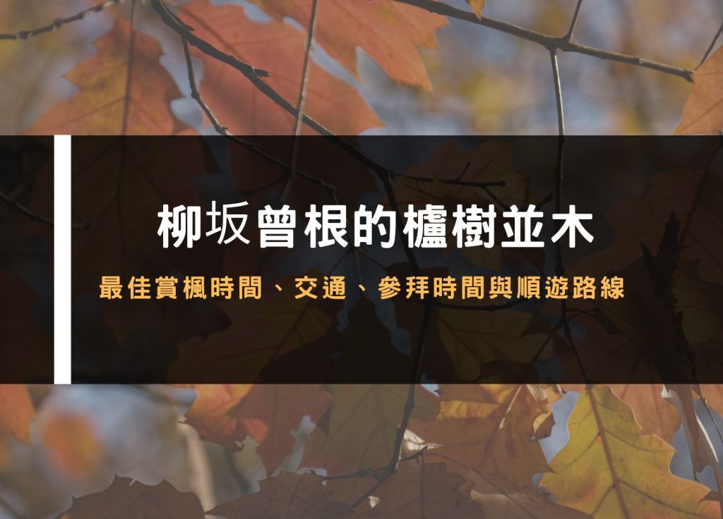 並木